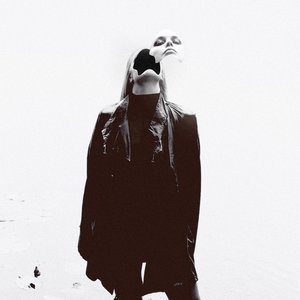 Image for 'Vega'