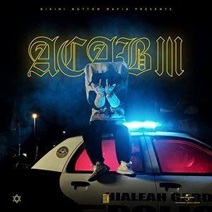 “A.C.A.B. III”的封面