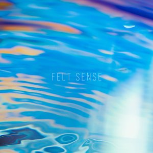 Image for 'FELT SENSE'