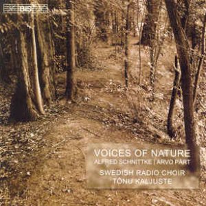 Bild för 'Schnittke / Part: Voices of Nature'