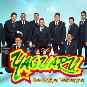 Image pour 'Los Yaguarú'