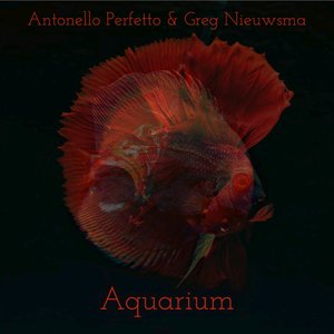 Image for 'Aquarium'