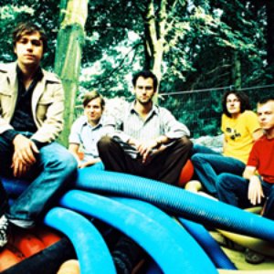 Image pour 'Austin Lace'