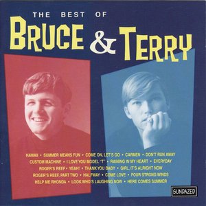 Изображение для 'The Best Of Bruce & Terry'