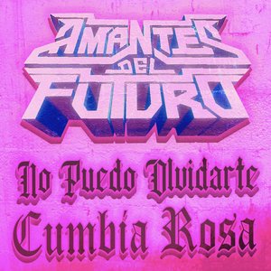 Bild für 'No Puedo Olvidarte Cumbia Rosa'