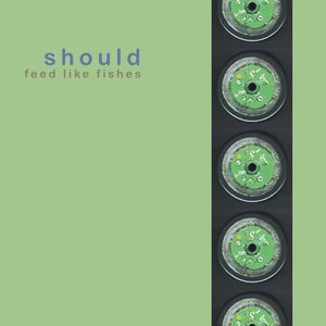 Image for 'Feed Like Fishes'
