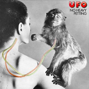 “No Heavy Petting (2007 Remaster)”的封面