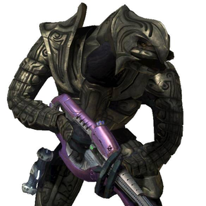 jointbag