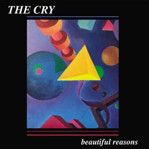 “beautiful reasons”的封面