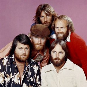 Image for 'The Beach Boys'