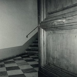 Image for 'The Moth'