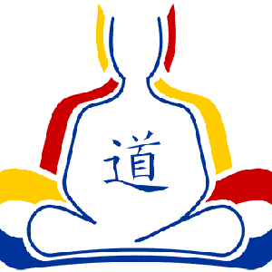 Image for 'TAO Meditation'