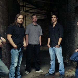 “split brain”的封面