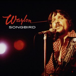 “Songbird”的封面