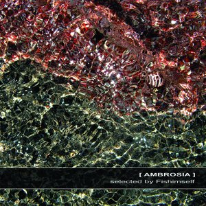 “Ambrosia”的封面