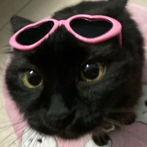darthmaduda