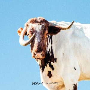 Imagem de 'Bravo'