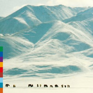 “Voices from the Distant Steppe”的封面
