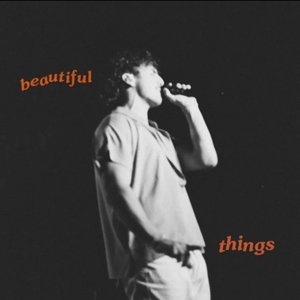 Immagine per 'Beautiful Things (Alternate Versions) - EP'