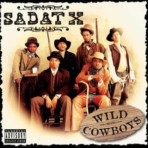 “Wild Cowboys”的封面