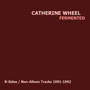 “Fermented (B-Sides / Non-Album Tracks 1991-1992)”的封面