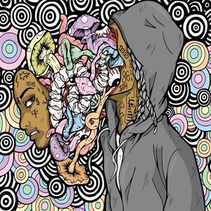 Bild für 'Mushrooms & Coloring Books'