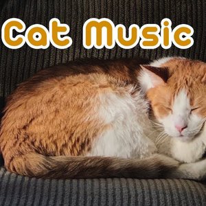 Bild für 'Cat Music Dreams'