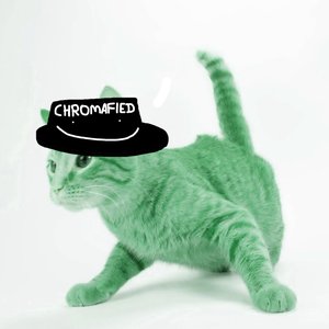 Bild für 'Kid Chroma'