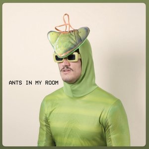 Immagine per 'Ants In My Room'
