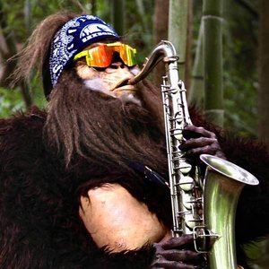 'Saxsquatch' için resim