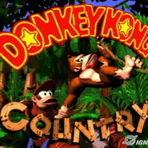 'Donkey Kong Country' için resim