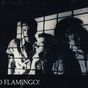 Bild für 'Go Flamingo!'