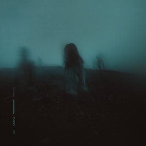 “solace”的封面