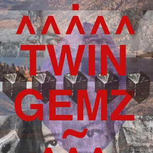 “TWIN-GEMZ”的封面