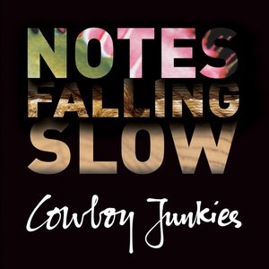 “Notes Falling Slow”的封面