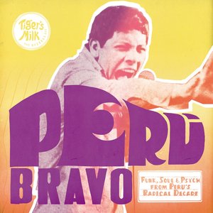 Image for 'Peru Bravo: Funk, Soul & Psych from Peru's Radical Decade'