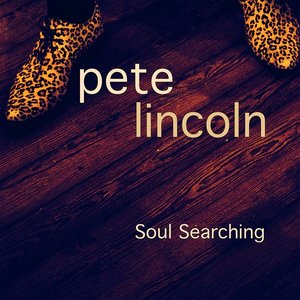 Image for 'Soul Searching'