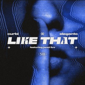 Image for 'Like That'