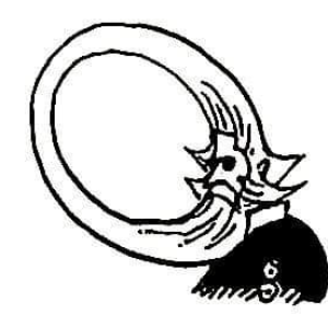 Cacnep