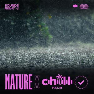 Bild für 'Soothing Rain Songs'