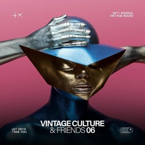 Imagem de 'Vintage Culture & Friends, Vol. 6 (Pt. I)'