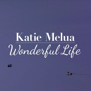 'Wonderful Life'の画像