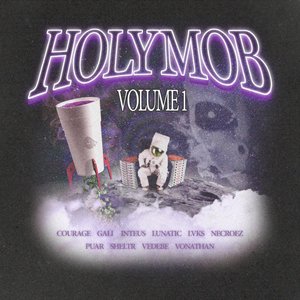 Immagine per 'Holy Mob, Vol. 1'