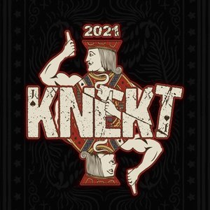 Immagine per 'Knekt 2021'