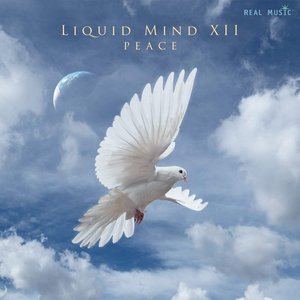 Image for 'Liquid MInd XII: Peace'