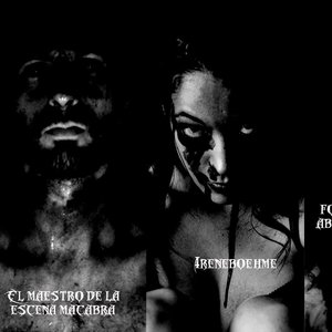 Image for 'Cabaret Aberrante'