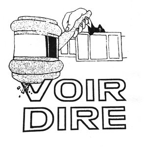 “Voir Dire”的封面