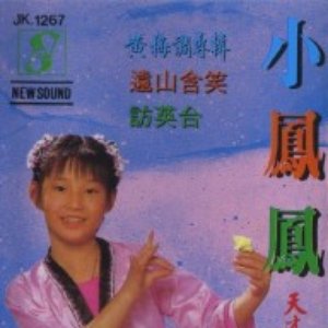 “小鳳鳳”的封面