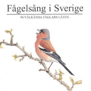 Image for 'Fågelsång i Sverige - 90 välkända fåglars läten'