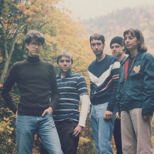 Immagine per 'The American Analog Set'